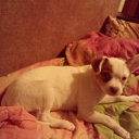 ���� ������, ���, 67 ��� - ��������� 5 ������� 2015 � ������ ���� ����������