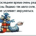 ���� �������, ���� - ��������� 15 ������ 2015 � ������ ������ ��������