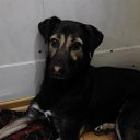 ���� Suomi, �����-���������, 55 ��� - ��������� 27 ����� 2015 � ������ ������ ��������