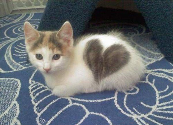       - 3  2015  02:30 - 6