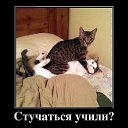 ���� Kolya, ����, 52 ���� - ��������� 31 ����� 2015 � ������ ���������