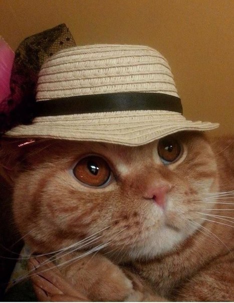 �������� �����