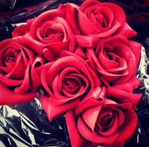  |  2016 |  |  |  - 10  2015  17:12