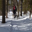 ���� �������, �����, 53 ���� - ��������� 3 ����� 2015 � ������ ���������� � ����������