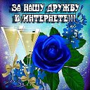 ���� �������, ����������, 43 ���� - ��������� 4 ������ 2015 � ������ ������ ��������