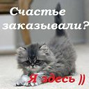 ���� ����� ���������, ���������, 59 ��� - ��������� 10 ������ 2015 � ������ ������ ��������