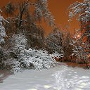  ..,  -  24  2015    .