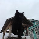 ���� �����, ������ - ��������� 28 ������� 2015 � ������ ���� ����������