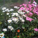 ���� �����, ������, 69 ��� - ��������� 15 ����� 2015 � ������ ���� ����������