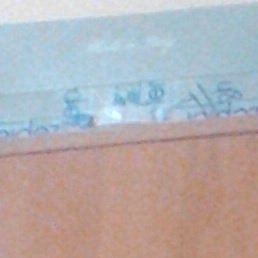 �������, �����, 49 ���