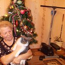 ���� ���������, ��������� - ��������� 1 ������ 2015 � ������ ���� ����������