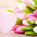 ���� ������, ������ - ��������� 9 ����� 2015 � ������ ������ ��������