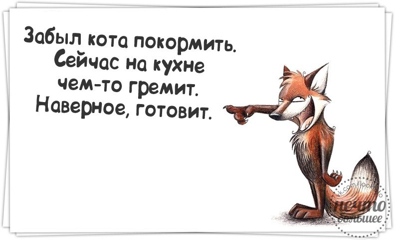 Сегодня опять лягу спать завтра. Анекдот раньше я боялся темноты. Вопрос-ответ. Ты. Я вчера получил.