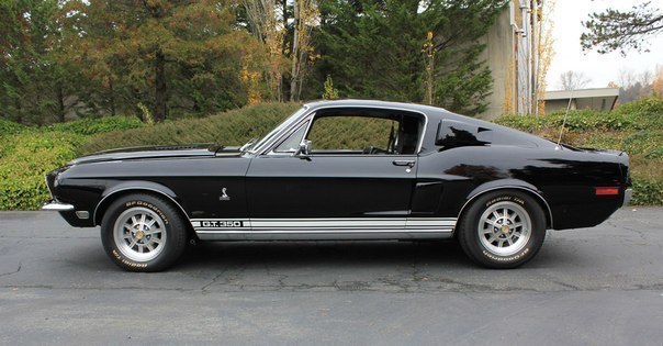 Shelby GT350, 1968. - 2