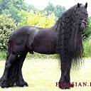 ���� �����, �����-���������, 55 ��� - ��������� 25 ����� 2015 � ������ ��������))�