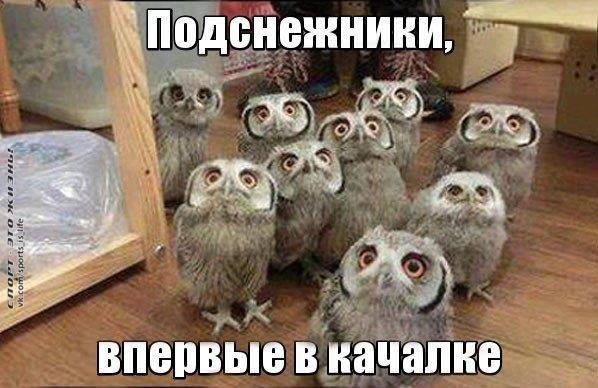 ����� - ��� ����� - 11 ������� 2015 � 21:28