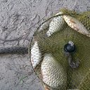 ���� ������, ������� ���� - ��������� 12 ������� 2015 � ������ ������ ��������