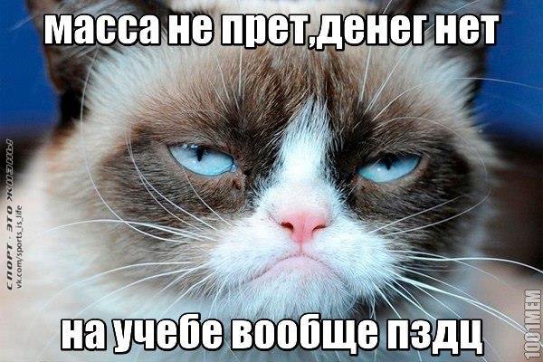 ����� - ��� ����� - 17 ������� 2014 � 23:10