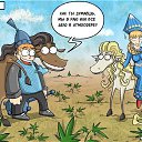 ���� ��������, �����-���������, 47 ��� - ��������� 17 ������� 2015 � ������ ���� ����������