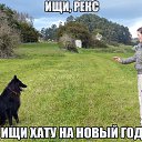 ���� ���������, ������-�������, 37 ��� - ��������� 23 ������� 2014