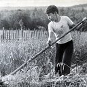 ���� ���������, ����������, 53 ���� - ��������� 6 ����� 2015 � ������ ����