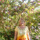 ���� �����, �����-���������, 72 ���� - ��������� 17 ������ 2015 � ������ ���� ����������