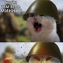 ���� Timur, ������, 55 ��� - ��������� 19 ������� 2015 � ������ ���� ����������