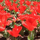  , , 60  -  13  2015      11.04.15.