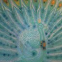 ��� ������