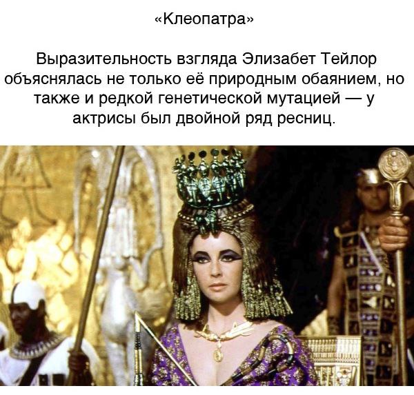 КИНОФАКТЫ. Все мы любим на досуге расслабиться и посмотреть какой-нибудь интересный фильм. Но не ... - 3