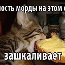 ���� Natalia, �����, 72 ���� - ��������� 15 ������� 2015 � ������ ������ ��������