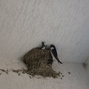 ���� ������� - �� ��������!, �������� - ��������� 19 ������ 2015 � ������ �����������