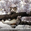 ���� �������, ��������� - ��������� 2 ����� 2015 � ������ ������ ��������