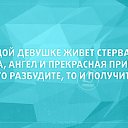 ���� ��������, �����-���������, 50 ��� - ��������� 26 ����� 2015 � ������ ������ ��������
