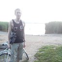 ���� �������, �����-���������, 37 ��� - ��������� 25 ������� 2015 � ������ ���� ����������