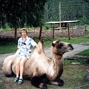 ..     ... -     .  .    