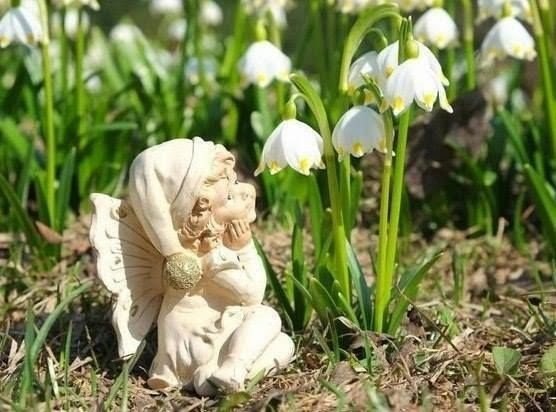 ���� ��� ������� �� �����������, ������, ��� ��� �� ��������