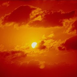 ����, ���������, 54 ����