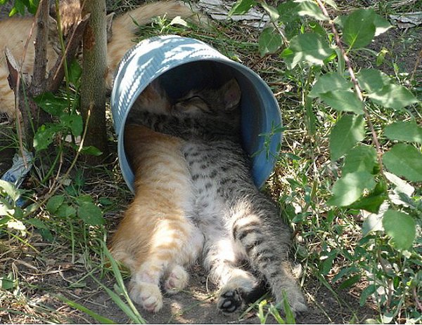 � ����� ��� � � ������...