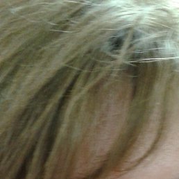 �������, �������, 53 ����