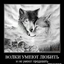 ���� �����, ������ - ��������� 20 ������� 2014 � ������ ���� ����������
