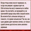 ���� Susanna, ������, 67 ��� - ��������� 2 ����� 2015 � ������ ������ ��������