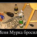 ���� ��������, ������, 33 ���� - ��������� 7 ������� 2015 � ������ ���������