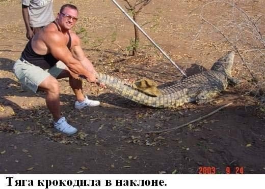 SportFeed - 21  2014  17:18