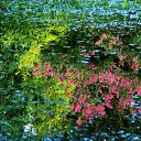 �������� 2014. �� ������� ������Ż