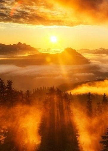 Подставляйте солнышку ладошки, собирайте лучики в карман, а затем, с любовью, понемножку, раздавайте ... - 3