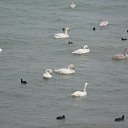 ����������. ������������.