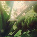 ���� ������, ������, 68 ��� - ��������� 8 ����� 2015 � ������ ���� ����������