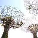 ���� ����� ���������, ������������, 55 ��� - ��������� 1 ������� 2015 � ������ ������� ��� ��������� ������