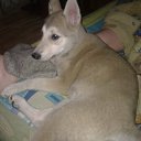 ���� �����, ������, 52 ���� - ��������� 7 ������� 2015 � ������ ���� ,,�����,,�